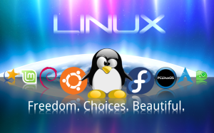 Linux Hosting India